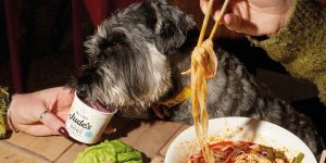 Pho joins campaign to spotlight dog-friendly restaurants