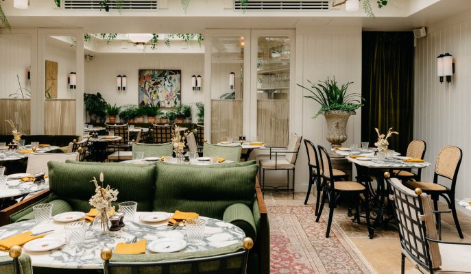 Estelle Community opens Celeste