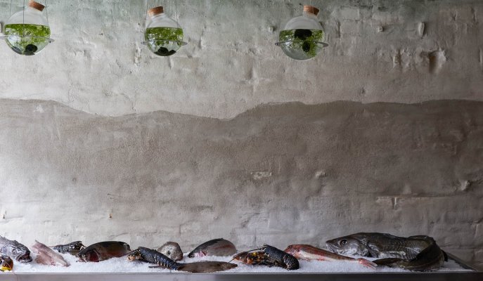 The Sea, The Sea to open bistro and fish shop