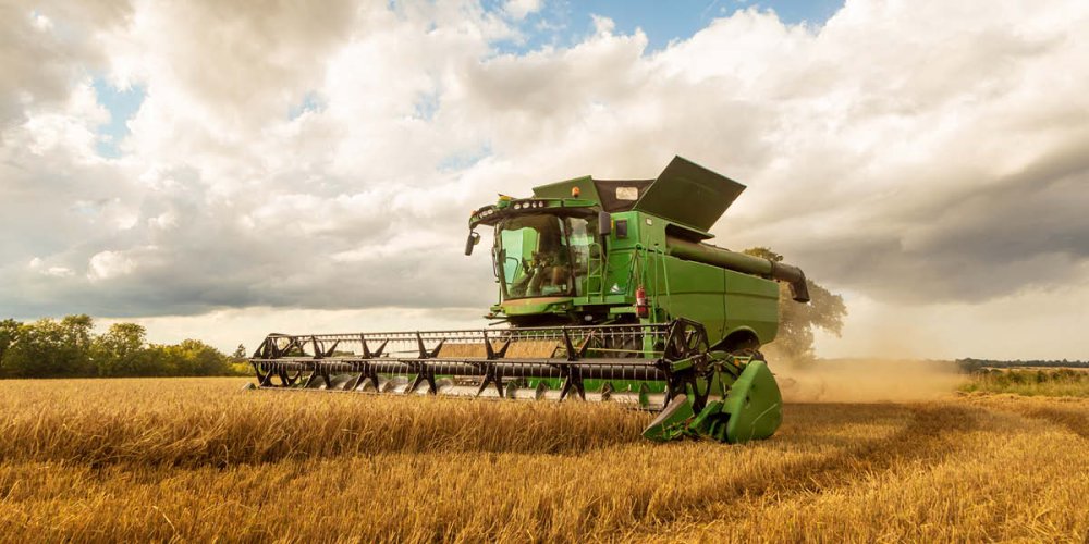 Experts warn of UK's impending food crisis