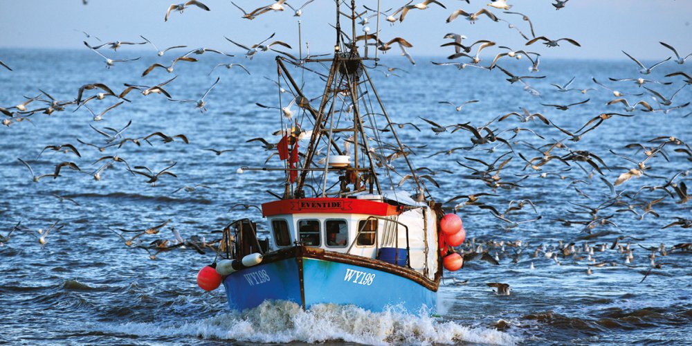 FEATURE: A sea change