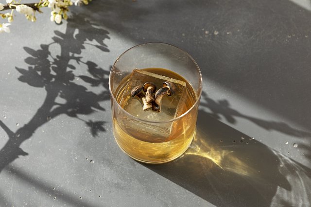 Three mushrooms in an ice cube floating in a cocktail, blossom and its shadow in the background